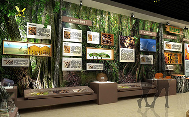 西安大型展覽服務商 專業展覽服務的全方位指南